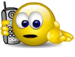 65